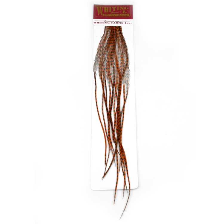 Whiting 100's Saddle Hackle Pack Size 14 Grizzly dyed Burnt Orange